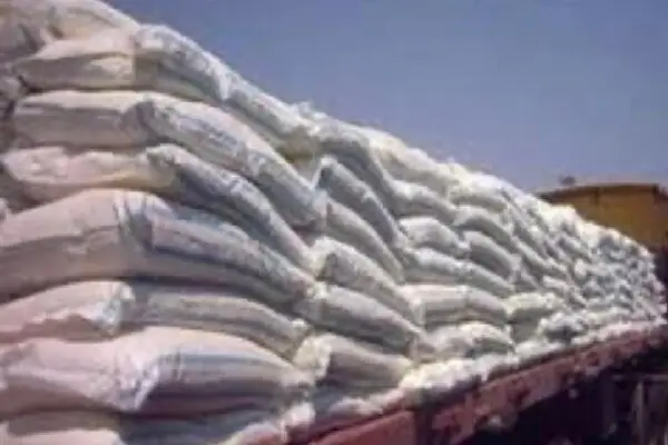 ورود ۹۰۰ تن برنج خارجی به کشور برای کنترل قیمت‌ها؛ جزئیات تازه از رویه جدید کولبری در مرزها