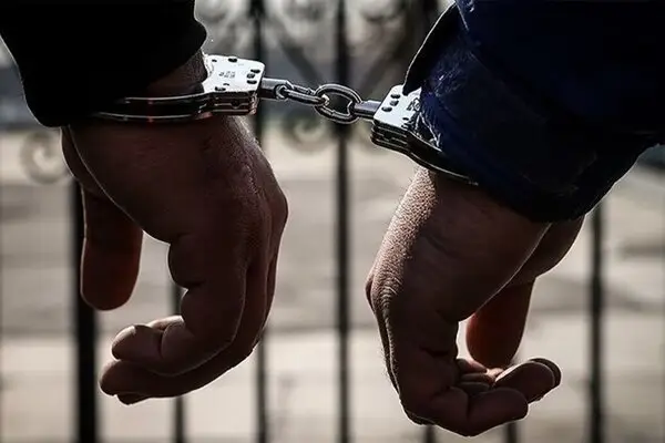 کشف حیرت‌انگیز ۴۵ تن نهاده دامی قاچاق در سمنان؛ ۵ متهم دستگیر شدند