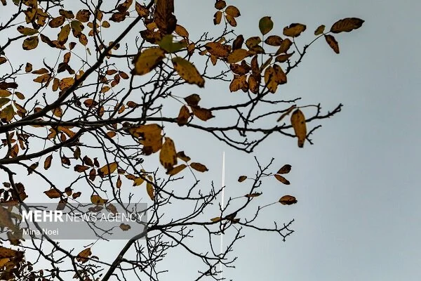 هوای استان ایلام به زیر صفر سقوط کرد؛ هشدار رگبارهای پراکنده در روزهای آینده!