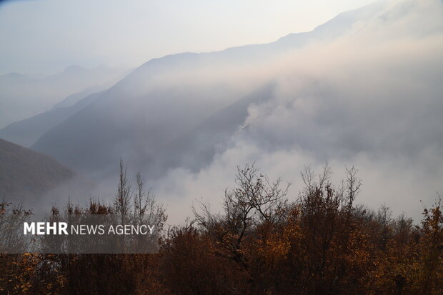 آتش‌سوزی مهیب دشت شاد در پارک ملی گلستان چگونه در کمتر از چند ساعت مهار شد؟
