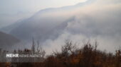 رمزگشایی از آتش سوزی جنگل الیت؛ پای شکارچیان متخلف در میان است