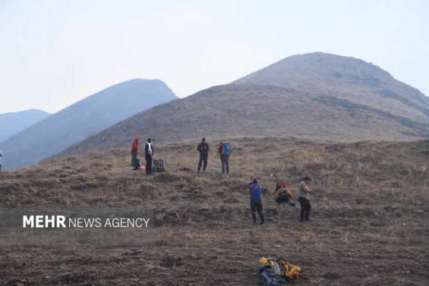 مردم چگونه در برابر جنگل الیت ایستاده‌اند؟ داستانی که همه را شگفت‌زده کرد!