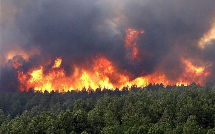 گزارش کمیسیون شوراها؛ نقش عامل انسانی در حریق جنگل‌های هیرکانی