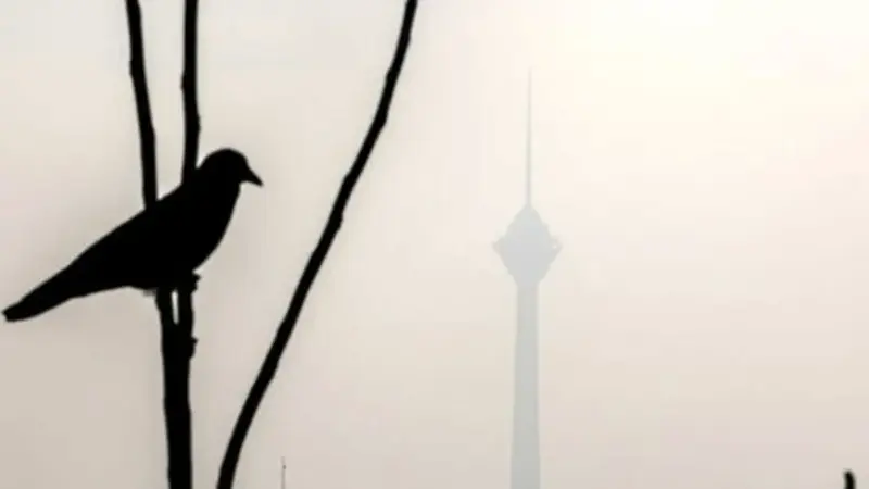 تعطیلی مدارس ابتدایی تهران شنبه؛ آموزش مجازی به جای حضور در کلاس‌ها!