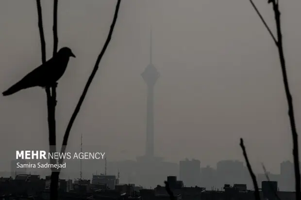 تعطیلی مدارس ابتدایی تهران شنبه؛ آموزش مجازی به جای حضور در کلاس‌ها!