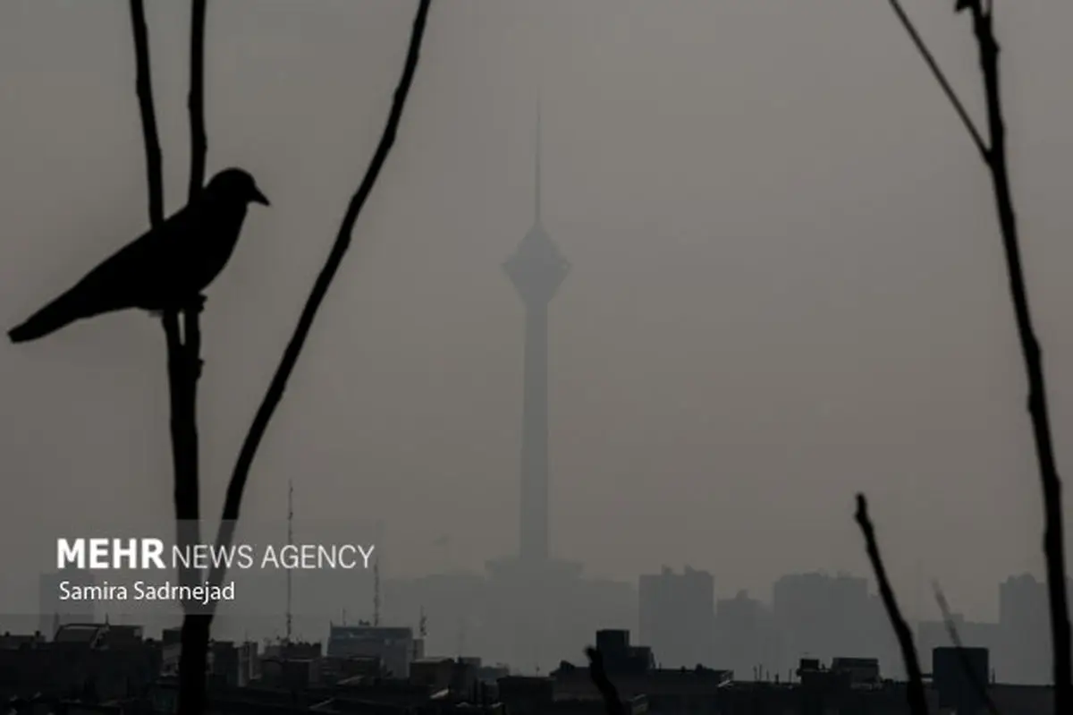 تعطیلی مدارس ابتدایی و مهدکودک‌های تهران فردا قطعی شد؛ جزئیات مهم را بخوانید