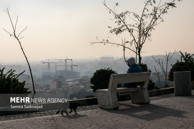 تمدید دورکاری ادارات در برخی شهرهای استان تهران؛ مراکز آموزشی مجازی شد