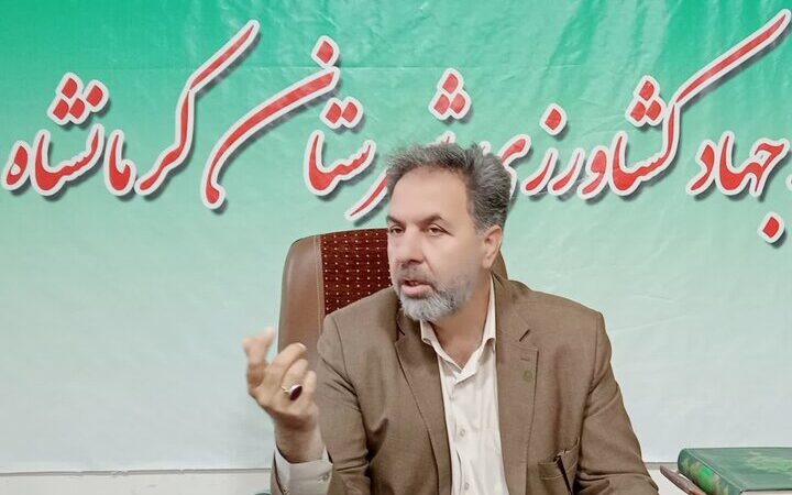 توسعه زعفران در فیروزآباد؛ راهی نوین برای اشتغال‌زایی کشاورزان