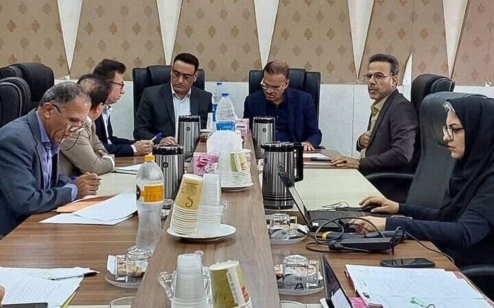 تعیین تکلیف ۲۶ هزار هکتار اراضی در تنگستان و دشتی؛ پایانی بر اختلافات مالکیتی