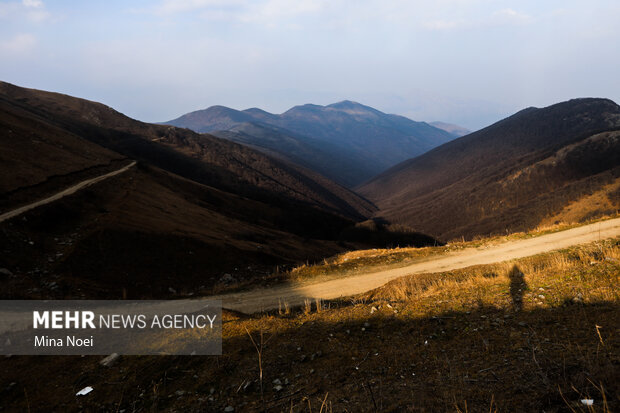 آتش‌سوزی مهیب در جنگل‌های دیزمار؛ روایت لحظه‌های نفس‌گیر