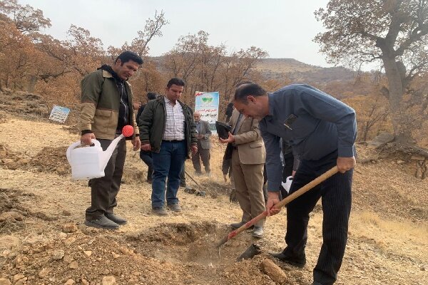 تولید ۸۰۰ هزار نهال در کهگیلویه و بویراحمد؛ کاشت هر نهال به یاد بسیجیان جان‌فدا