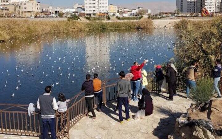 پاکسازی فوری آبگیر پارک فروزان شیراز از تهدید سگ‌های ولگرد و هجوم موش‌ها