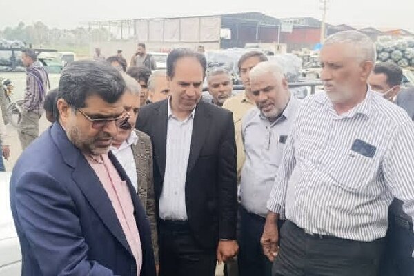 محسنی هشدار داد؛ بسته‌بندی ضعیف محصولات کشاورزی، عامل سقوط قیمت‌ها!