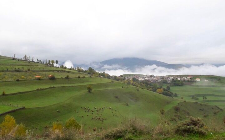 کرمی: دانشگاه‌ها تنها مسیر شکستن قفل محرومیت‌های ایلام هستند!