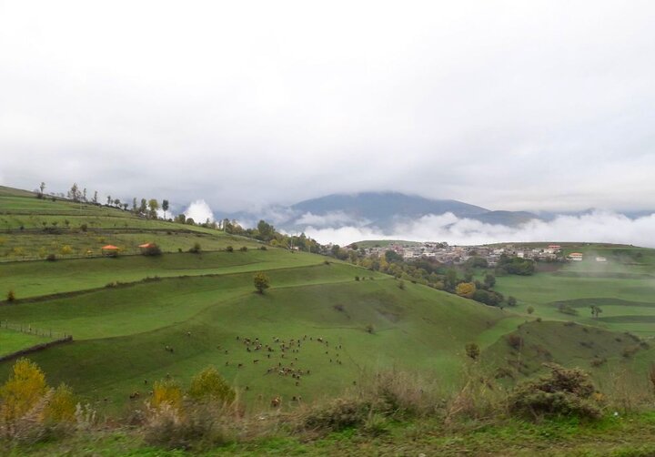 کرمی: دانشگاه‌ها تنها مسیر شکستن قفل محرومیت‌های ایلام هستند!