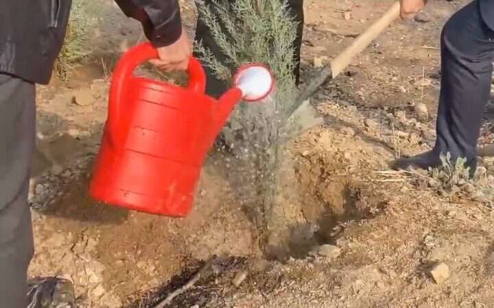 پویش مردمی نهال‌کاری به مناسبت روز دانشجو