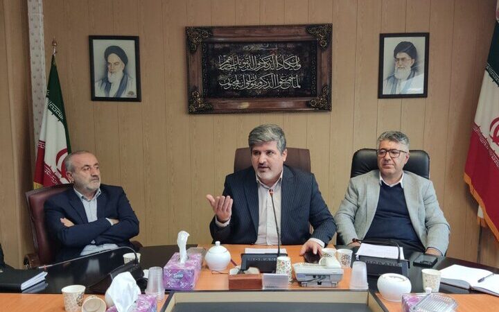 لزوم مدیریت علمی برای مهار افزایش سگ‌های بلاصاحب در کردستان