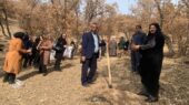 پویش نهالکاری ایران بانو در بویراحمد