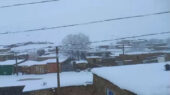 بارش برف در روستای دهنو شهرستان کنگاور