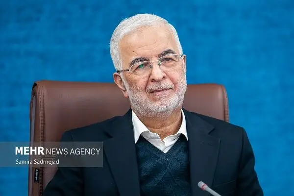 اسکندر مومنی خبر داد: پنجره واحد صدور مجوز سمن‌ها به زودی راه‌اندازی می‌شود!