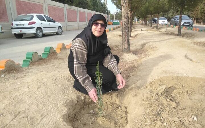 پویش نهال‌کاری روز مادر در سمنان؛ وقتی درختان، یادبود مادران شهید می‌شوند!