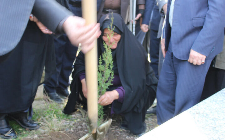 شگفتی در مازندران؛ تولید 4.6 میلیون اصله نهال برای توسعه فضای سبز استان!