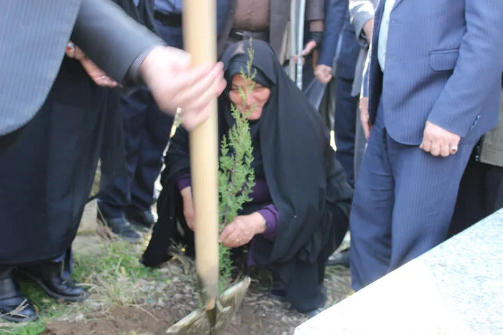 شگفتی در مازندران؛ تولید 4.6 میلیون اصله نهال برای توسعه فضای سبز استان!