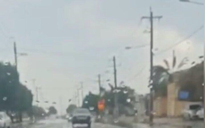 بارش اولین باران پاییزی در گناوه؛ طبیعتی تازه و دل‌انگیز در انتظار مردم