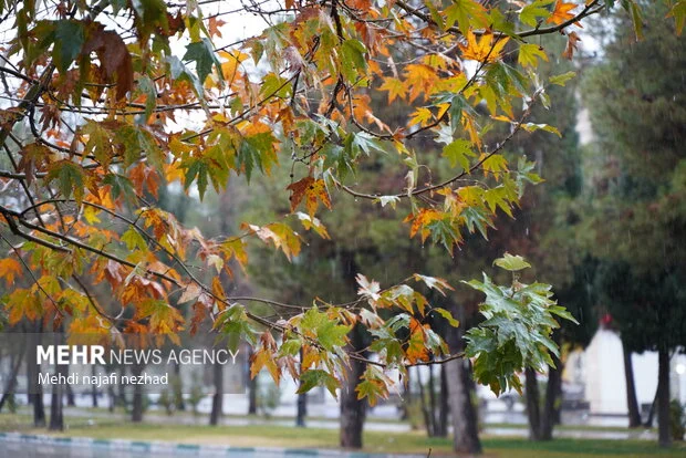 پیش‌بینی هفته‌ای پر از بارش‌های شدید در خراسان رضوی؛ هشدار آبگرفتگی در راه است!