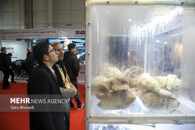 بیست‌و‌ششمین نمایشگاه هفته پژوهش در مشهد؛ فرصت طلایی برای کشف نوآوری‌ها!