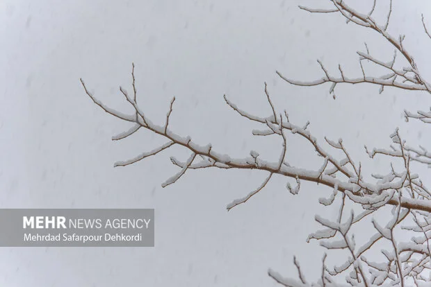 اولین برف پاییزی قله تشگر هماگ را به سفیدپوشی خیره‌کننده کشاند!