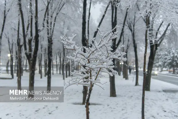 کهگیلویه و بویراحمد در انتظار بارش‌های رگباری و برف نیمه‌سنگین؛ هشدار هواشناسی جدی شد