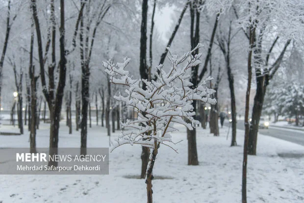 هوای زنجان سرد و طوفانی می‌شود؛ هشدار جدی برای رانندگان جاده‌های کوهستانی