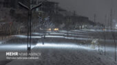 شروع بارش برف در شیراز؛ اتفاقی نادر که همه را شگفت‌زده کرد!