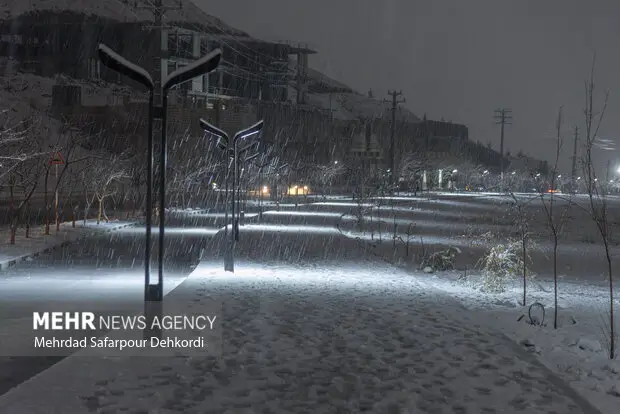 شروع بارش برف در شیراز؛ اتفاقی نادر که همه را شگفت‌زده کرد!