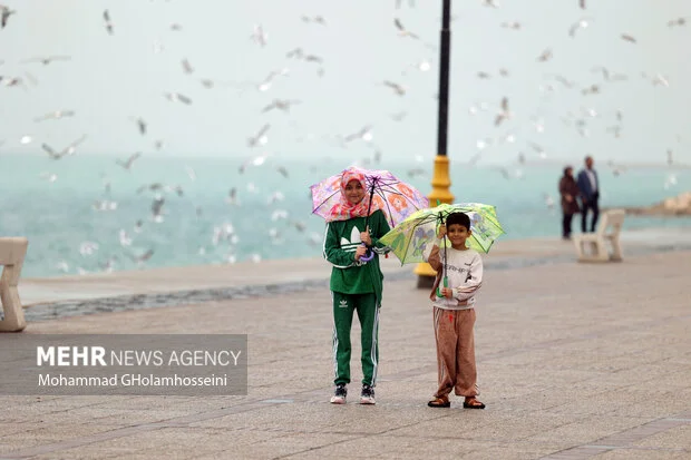 بارش‌های بی‌سابقه در بوشهر؛ روستایی با ثبت ۱۰۲ میلی‌متر باران در کانون توجه!