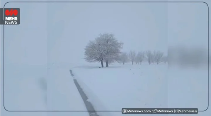 روستای نوروزآباد زیر برف سفیدپوش شد؛ تصاویر حیرت‌انگیز از طبیعت زمستانی