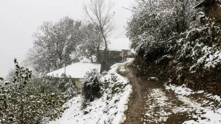 هشدار هواشناسی مازندران: برف و باران سنگین در راه است!