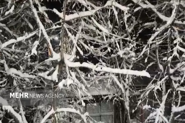 برف امیدبخش در خراسان جنوبی؛ پایان ماه‌ها انتظار کویری‌ها