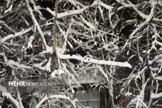 بارش برف در شمال و شرق تهران؛ چرا آلودگی هوا همچنان سرسخت مانده؟
