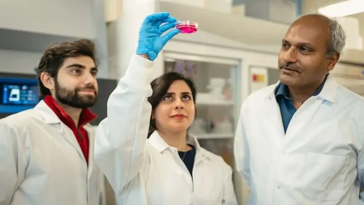 محقق ایرانی با روشی شگفت‌انگیز روند درمان زخم و تولید گوشت را متحول کرد!