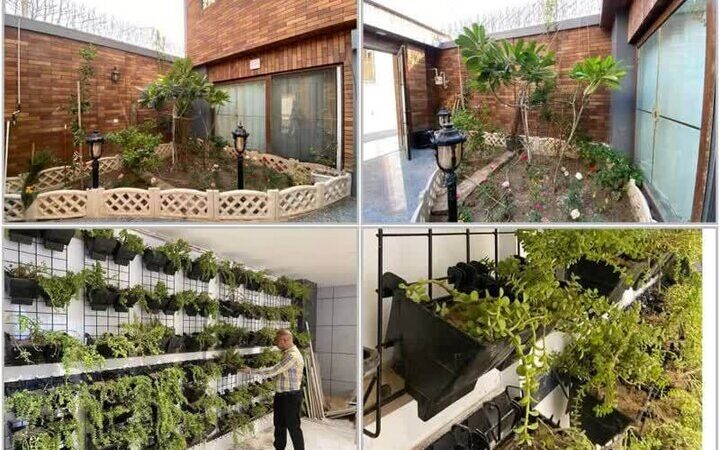 شهردار بوشهر خبر داد: جهش چشمگیر در سرانه فضای سبز شهر از آذر ۱۴۰۲!