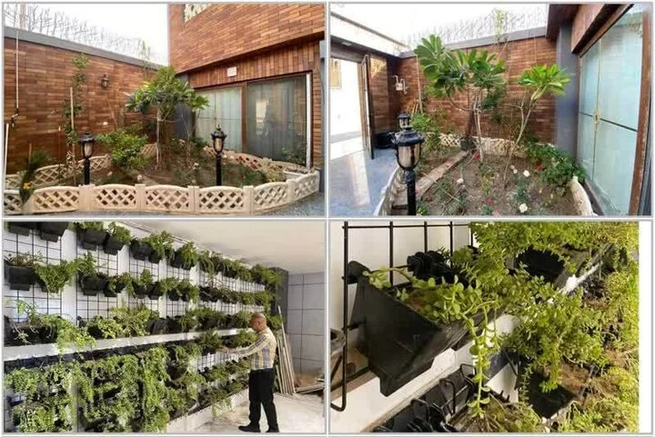 شهردار بوشهر خبر داد: جهش چشمگیر در سرانه فضای سبز شهر از آذر ۱۴۰۲!