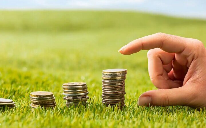 حاجی‌محمدی خبر داد: اعطای ۴۶.۵ میلیارد تسهیلات به کشاورزان اردبیل؛ جهش بزرگ در حمایت از تولید