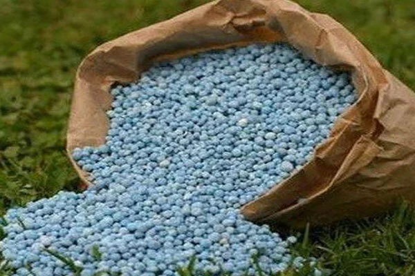 ۴ اقدام مهم برای تامین ۸۶ درصد کود ازته در چهارمحال و بختیاری؛ کشاورزان منتظر چه خبری باشند؟