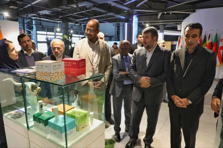 چرا آفریقا به شریک راهبردی فناوری ایران تبدیل شد؟ نگاهی به آینده همکاری‌های نوآورانه!