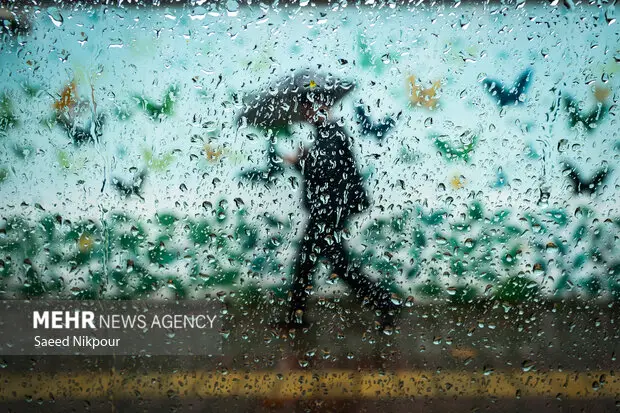 بارش باران پاییزی در حاجی‌آباد؛ طبیعت رنگ تازه‌ای گرفت!