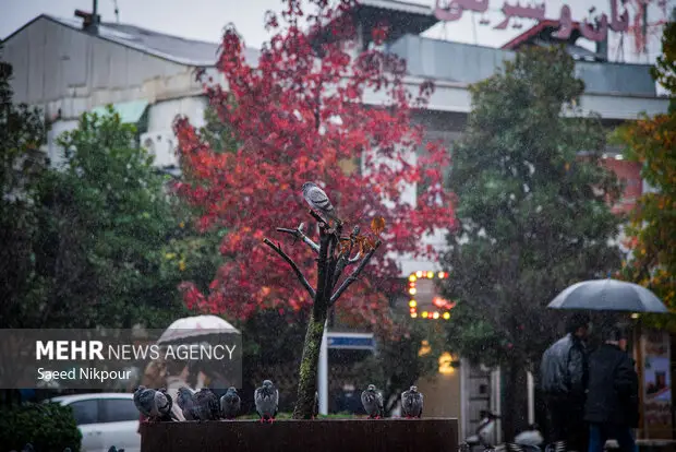 هشدار شهردار رودسر؛ بارش شدید باران و آماده‌باش کامل تیم‌های بحران در شهر