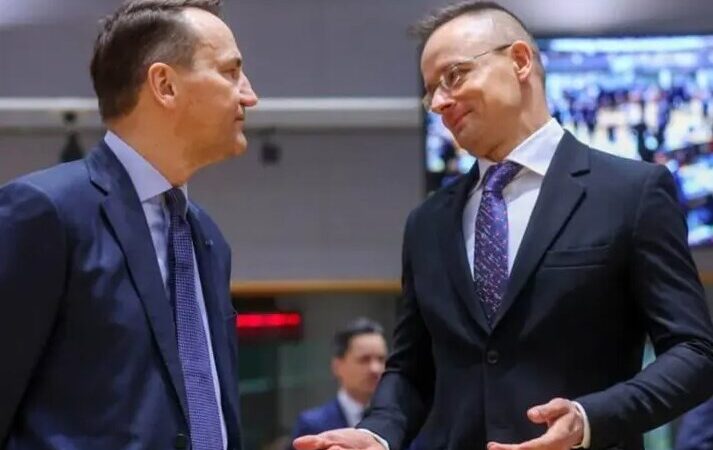 تنش بی‌سابقه بین مجارستان و لهستان بر سر مصادره دارایی‌های روسیه؛ جنگ لفظی در شبکه‌های اجتماعی در گرفت!