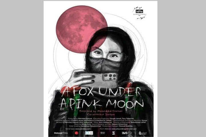 مهرداد اسکویی با مستند جنجالی «روباه و ماه صورتی» دوباره روی پرده می‌رود!